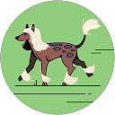 镐天天 profile picture